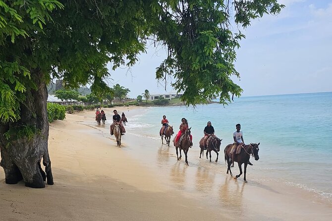Horseback Riding at Hawksbill Beach in Five islands Antigua - Your route in plain English: beach time, a hilltop, and the Armani sightline