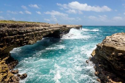 Island Safari 4×4 Discovery Tour from St John’s