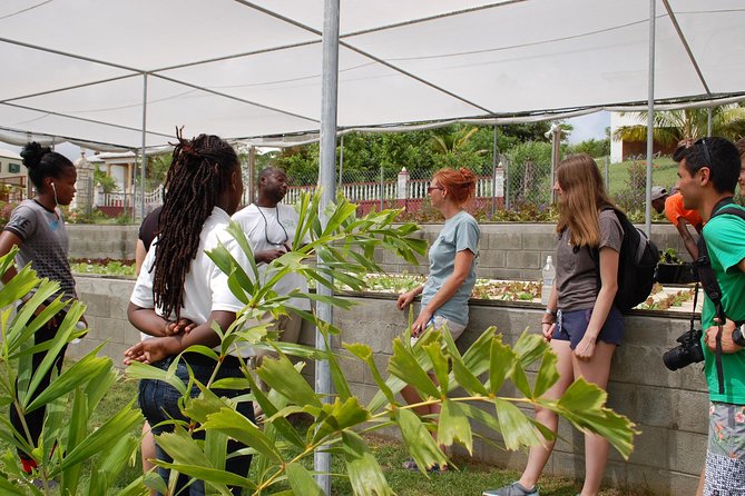 Outback Antigua Tour - St John’s on Foot or by Car: Markets, Neighborhood Rhythm, and Food Basics