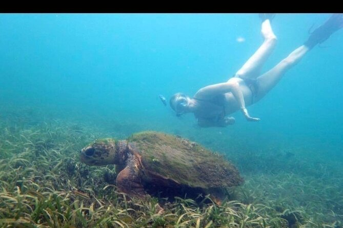Private Snorkeling and Sightseeing Tour of Antigua - Meet Johnny and Beat the Cruise Crowd From the Start
