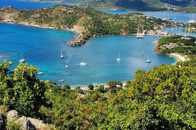 Private Snorkeling and Sightseeing Tour of Antigua - What You’ll See Underwater (And How Johnny Helps You Find It)