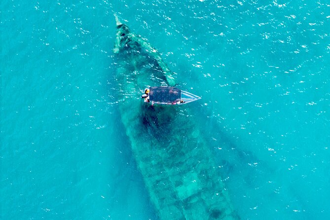 Reef Explorers Transparent Boat and Beach Tour - Key Highlights You Should Know Before You Go