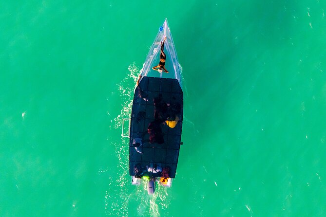 Reef Explorers Transparent Boat and Beach Tour - Your Underwater Viewing Experience: Reefs and Sea Life From Above