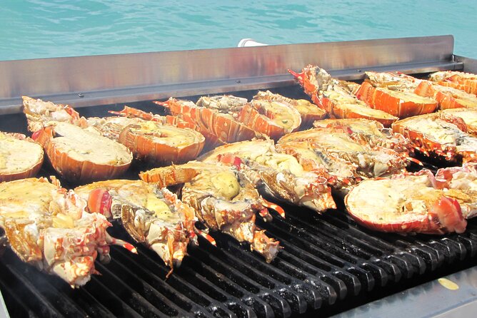 Sail and Snorkel at Cades Reef - Sailing back north: music, drinks, and a lighter ending