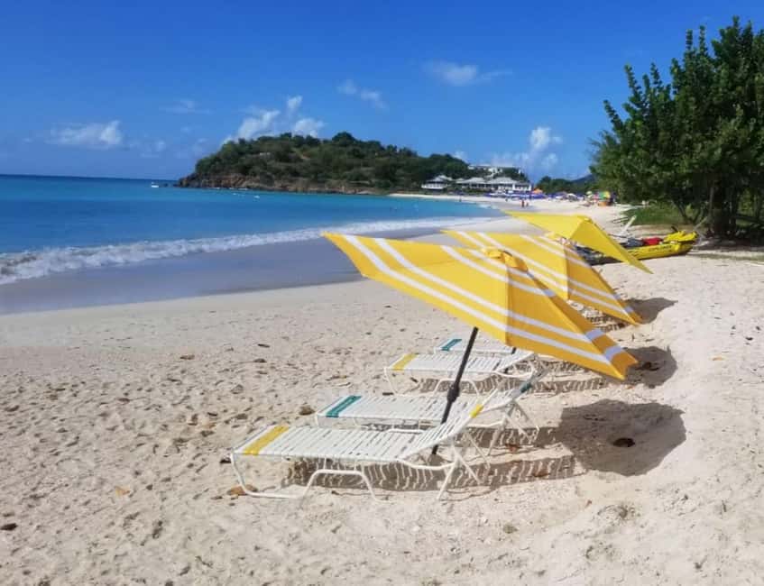 Sip & Paint with lunch on exciting Ffryes Tiki beach Bar - Art Gallery Time: Seeing Craft Work in a Natural, Working Setting