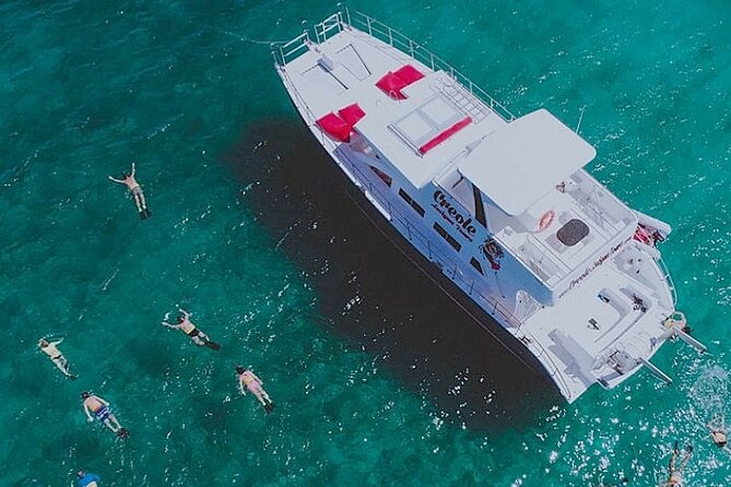 Snorkel - Lobster Lunch Cruise to Bird Island and Paradise Reef - Key things I’d circle before you book