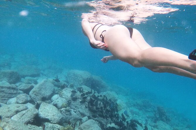 Snorkeling, Kayaking and Paddle Board Activity in Antigua - Key highlights