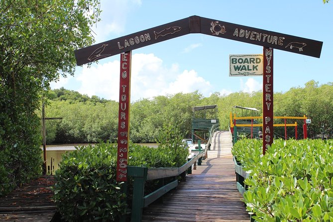 SoCoHo Eco Half Day - Mangrove Kayak & Reef Snorkeling - The Switch at the Beach: Finger Food and Setup for Snorkeling