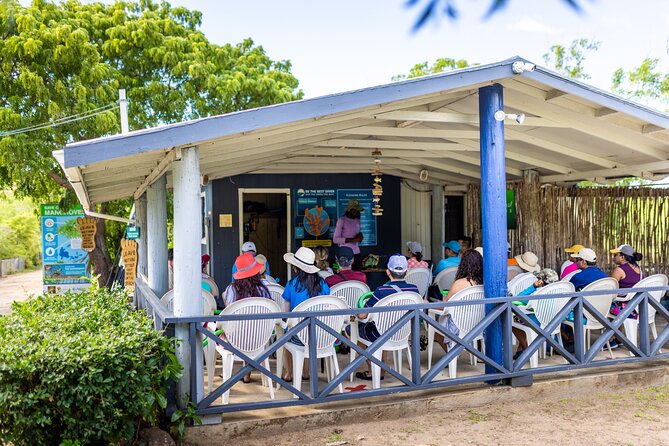 SoCoHo Eco Half Day - Mangrove Kayak & Reef Snorkeling - Food, Rum Punch, and the Beach Lunch Option