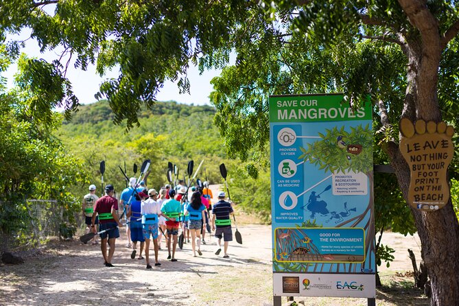 SoCoHo Eco Half Day - Mangrove Kayak & Reef Snorkeling - Price and Value: Is $135 Worth It?