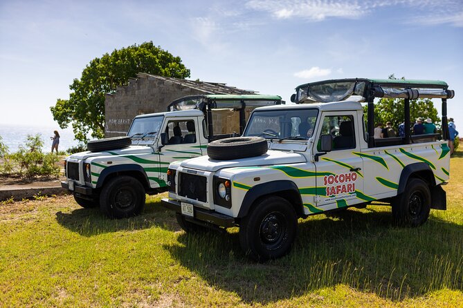SoCoHo Jeep Safari - Historical Sites - Lunch - Beach - The Jeep Safari That Gives You Antigua’s Best Hits (Fast)