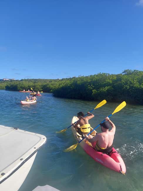 St. John's, Antigua Kayak, Snorkeling, & Beach Bird Island - Key Highlights Worth Waking Up For