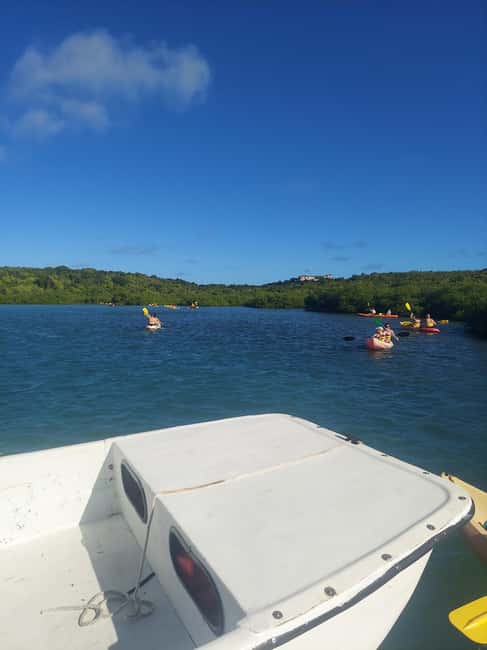 St. John's, Antigua Kayak, Snorkeling, & Beach Bird Island - Who This Antigua Kayak, Snorkel, and Bird Island Trip Fits Best