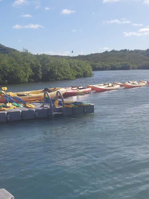 St. John's, Antigua Kayak, Snorkeling, & Beach Bird Island - Beach Time on Great Bird Island: Short, Sweet, and Worth It