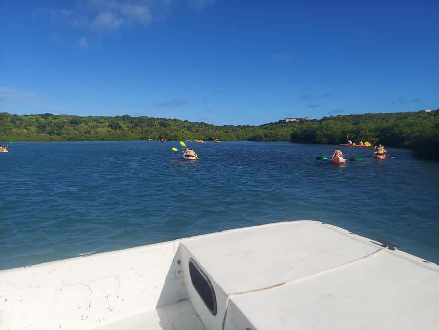 St. John's, Antigua Kayak, Snorkeling, & Beach Bird Island - Getting Picked Up in St Johns: Cruise Ship Details That Actually Help