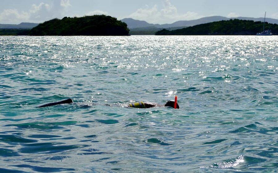 St. John's, Antigua Kayak, Snorkeling, & Beach Bird Island - Kayaking in Willikies: What 40 Minutes Feels Like