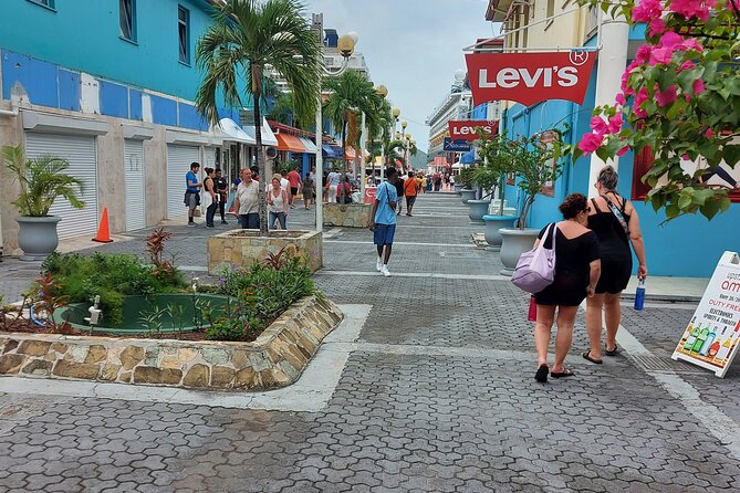 St. John's City Private Tour including Fort James - A private, 4-hour St John’s loop that mixes city life and harbor history