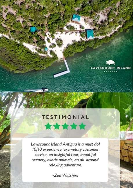 St. John's; Combo Laviscount Island & Swimming with Stingray - Stingray City Antigua, what the swim is really like