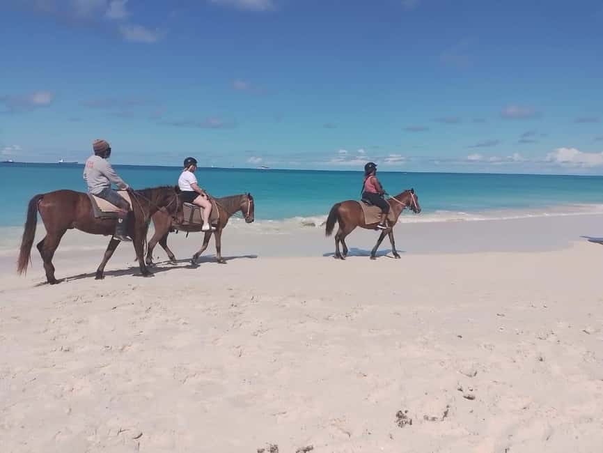 St. Johns: Horseback Riding Bareback Swim, &Fort James Beach - Key Highlights You Will Actually Care About