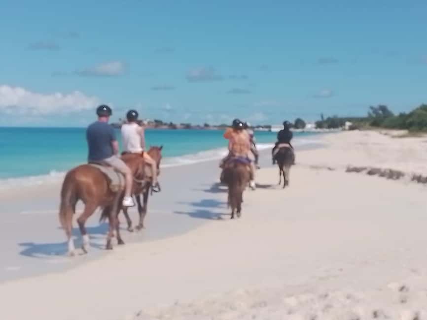 St. Johns: Horseback Riding Bareback Swim, &Fort James Beach - Fort James Beach Time: Swim, Punch, and Real Relaxation