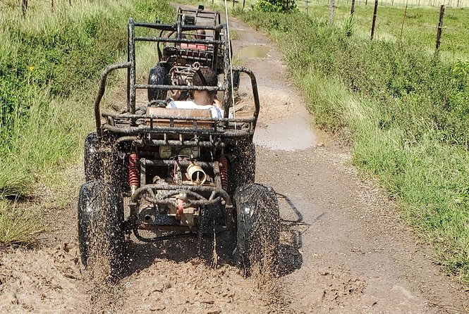 St. Mary's Mud Buggy Experience - Guides and the vibe: friendly, funny, and occasionally uneven