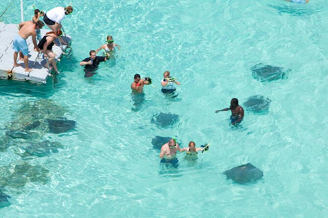 Stingray City - Why Stingray City Antigua Works So Well for a First Stingray Encounter