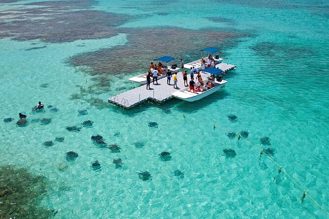 Stingray City - The Stingray Rules That Keep the Moment Calm and Safe