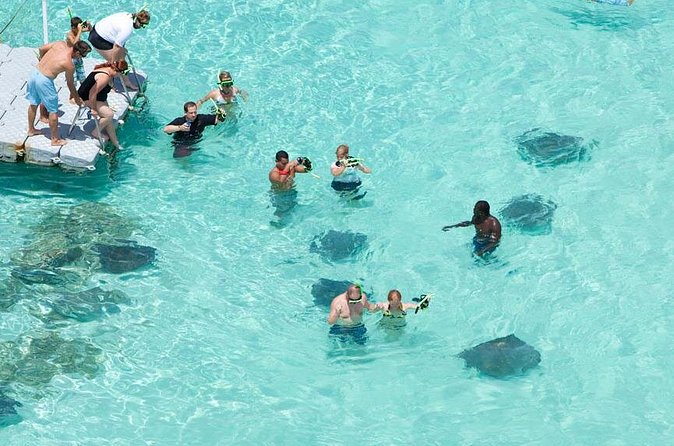 Stingray City - Photos and Timing Reality Check