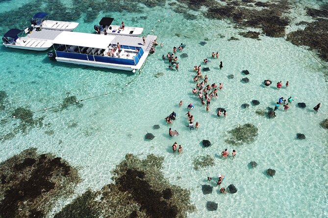 Stingray City Antigua for all the ages - ROUND TRIP INCLUDED - Stingray City Antigua, a Natural-Habitat Meet at a Sandbank