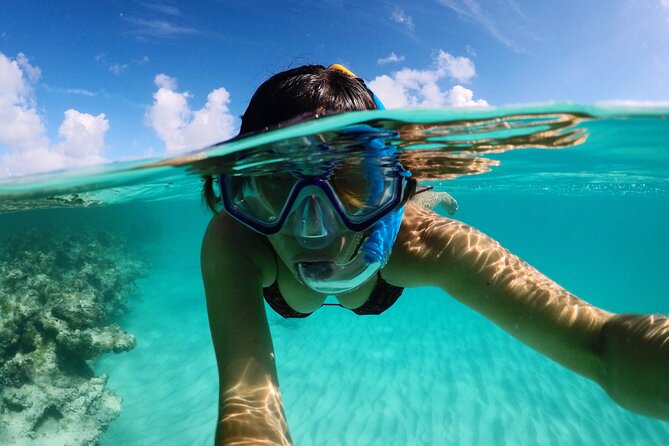Stingray City Antigua for all the ages - ROUND TRIP INCLUDED - What’s Included, What’s Not, and What You Should Bring