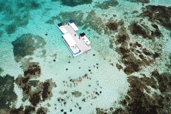 Stingray City Antigua for all the ages - ROUND TRIP INCLUDED - Who Should Book Stingray City for All Ages?