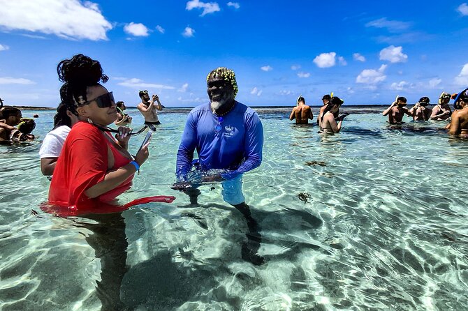 Stingray City Experience Antigua - Cruise Ship Passengers Edition - Crowds on the sandbank: the one thing to plan for