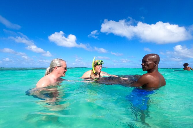 Stingray City Experience Antigua - Cruise Ship Passengers Edition - What you get for $139.90, and what you should budget for