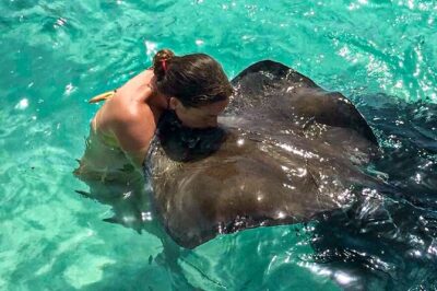 Stingray City experience, Devils Bridge and Long Bay Beach