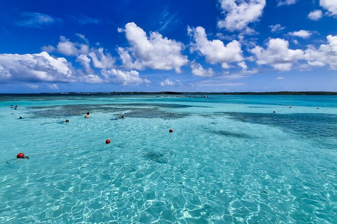 Stingray City experience, Devils Bridge and Long Bay Beach - Who should book this and who should skip it