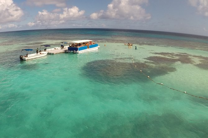 Stingray City - What Else You See Underwater, Beyond the Famous Rays