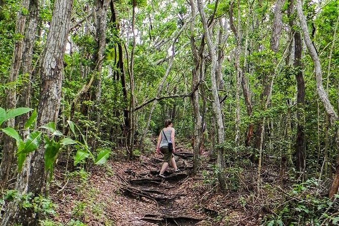 Trek Tours Hiking Experience in Antigua - Signal Hill and Shirley Heights, for 360 views and a cooler path