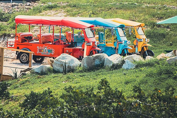 Tuk-Tuk Adventures Rainforest and Beach Hopping Tour - Snacks, Fruit Punch, and Staying Cool in an Open Vehicle