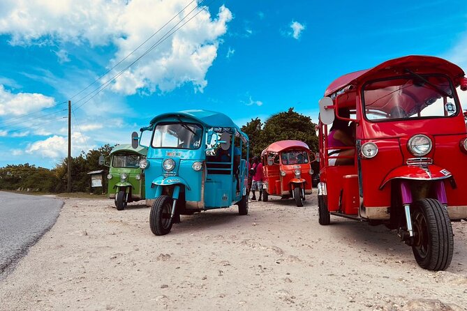 Tuk-Tuk Adventures Rainforest and Beach Hopping Tour - Fig Tree Drive Rainforest: The Ride That Turns the Island On