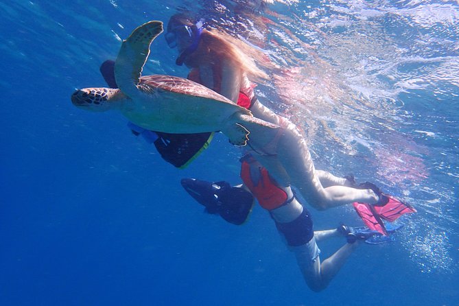 Turtle Beach Power Snorkeling Adventure - Why a sea scooter snorkel beats regular floating in Antigua