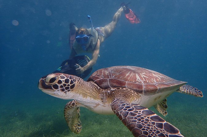 Turtle Beach Power Snorkeling Adventure - Scooter-snorkel tips that help you see more and last longer
